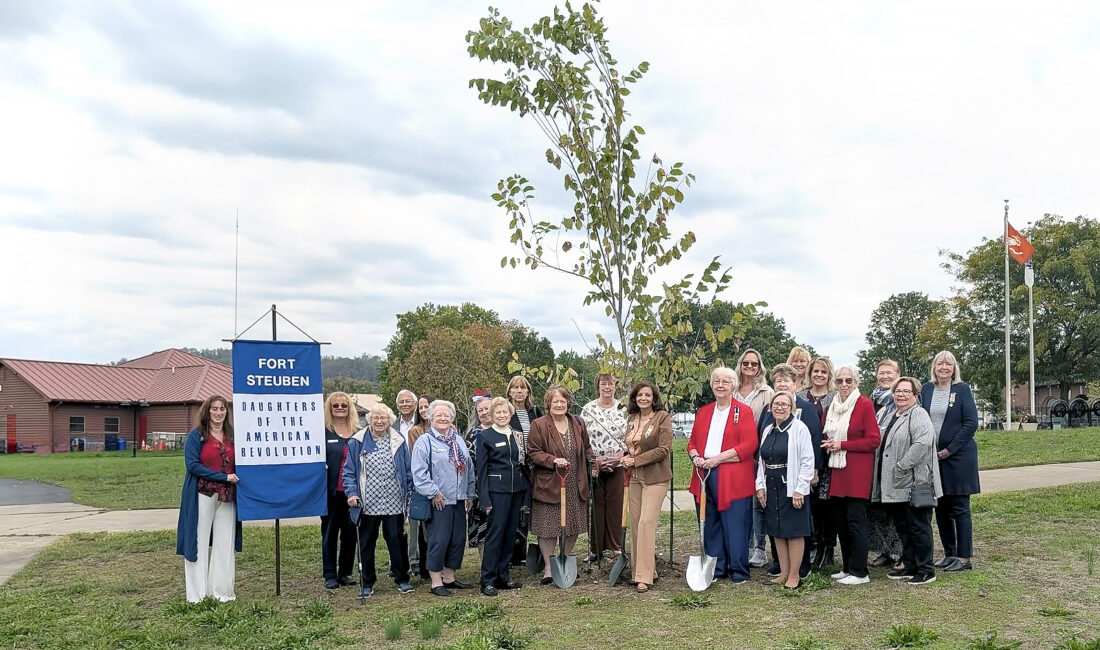 DAR plants tree